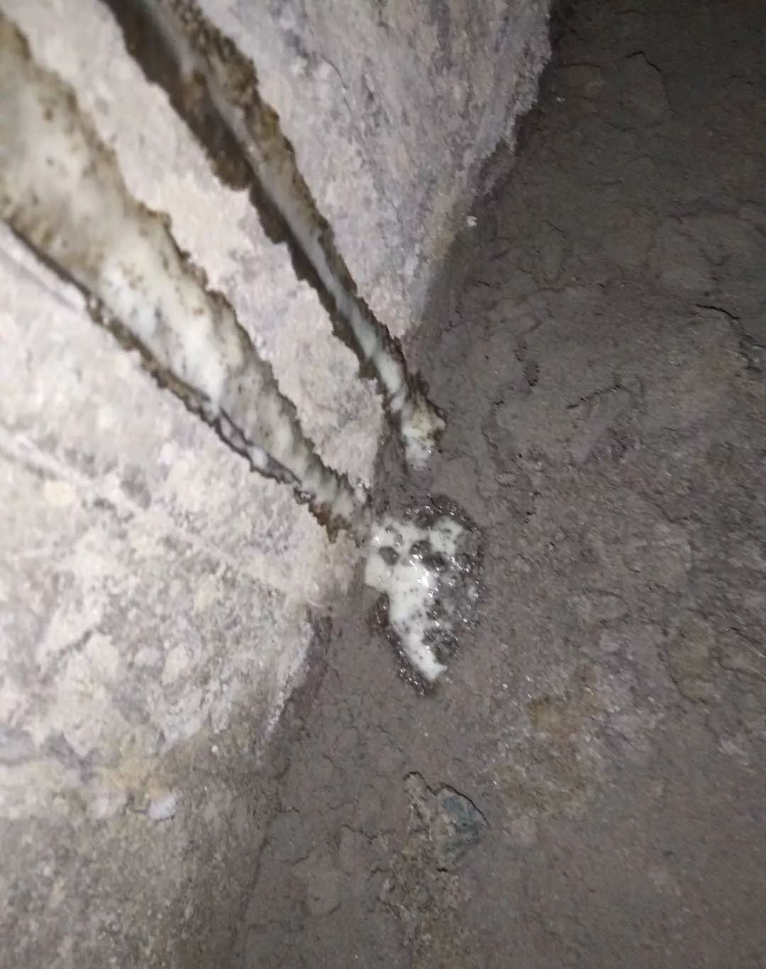 1_190821092448_1 k豆钱包官方网站 - KDpay钱包