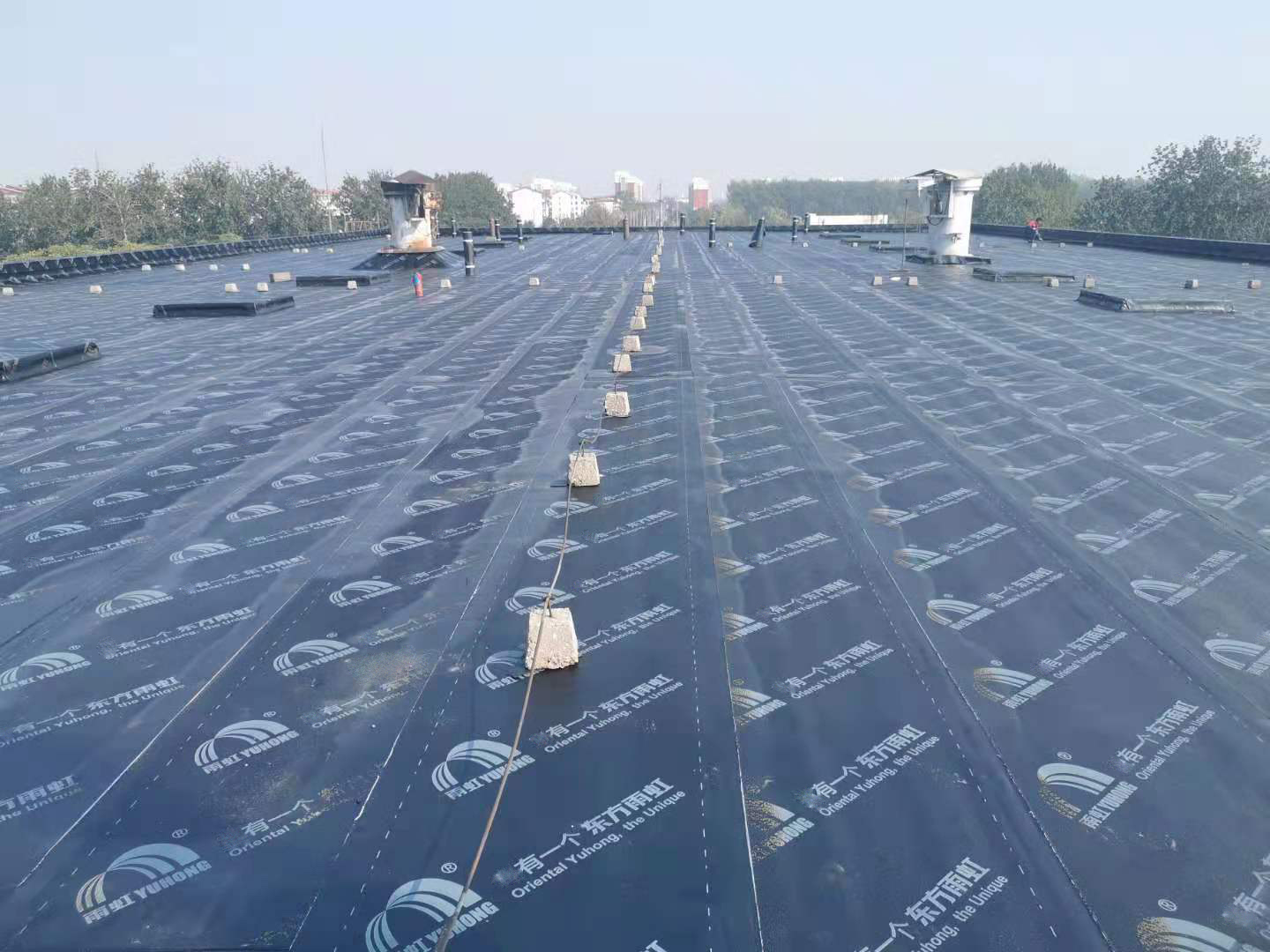 1_200323112451_1 k豆钱包官方网站 - KDpay钱包