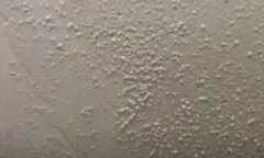 k豆钱包官方网站 - KDpay钱包